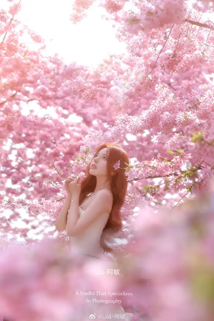 微商App用户增长曲线